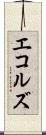 エコルズ Scroll