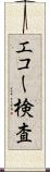 エコー検査 Scroll