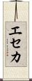 エセカ Scroll