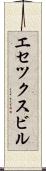 エセツクスビル Scroll