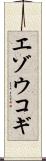 エゾウコギ Scroll