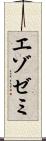 エゾゼミ Scroll