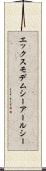 エックスモデムシーアールシー Scroll