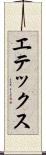 エテックス Scroll