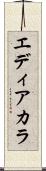 エディアカラ Scroll