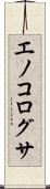 エノコログサ Scroll