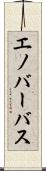 エノバーバス Scroll