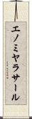 エノミヤラサール Scroll