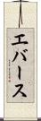 エバース Scroll