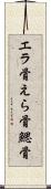 エラ骨 Scroll