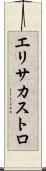 Elisa Castro Scroll
