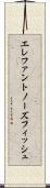 エレファントノーズフィッシュ Scroll