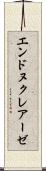 エンドヌクレアーゼ Scroll
