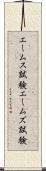 エームス試験 Scroll