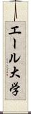 エール大学 Scroll