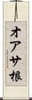 オアサ根 Scroll
