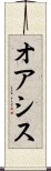 オアシス Scroll