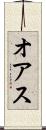 オアス Scroll