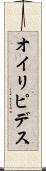 オイリピデス Scroll