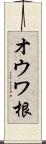 オウワ根 Scroll