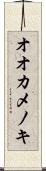 オオカメノキ Scroll
