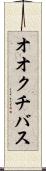 オオクチバス Scroll