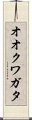 オオクワガタ Scroll