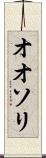 オオソリ Scroll