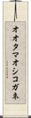 オオタマオシコガネ Scroll