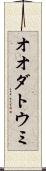 オオダトウミ Scroll