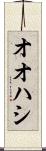オオハシ Scroll