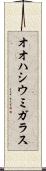 オオハシウミガラス Scroll