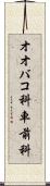 オオバコ科 Scroll
