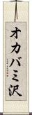 オカバミ沢 Scroll