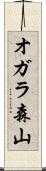 オガラ森山 Scroll