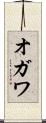 オガワ Scroll