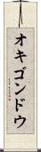オキゴンドウ Scroll