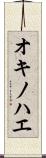 オキノハエ Scroll