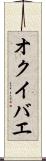 オクイバエ Scroll