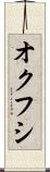 オクフシ Scroll