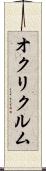オクリクルム Scroll