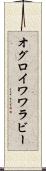 オグロイワワラビー Scroll