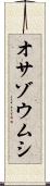 オサゾウムシ Scroll