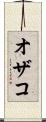 オザコ Scroll