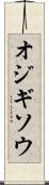 オジギソウ Scroll