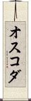 オスコダ Scroll