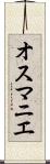 オスマニエ Scroll