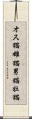 オス猫 Scroll