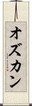 オズカン Scroll