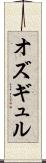 オズギュル Scroll